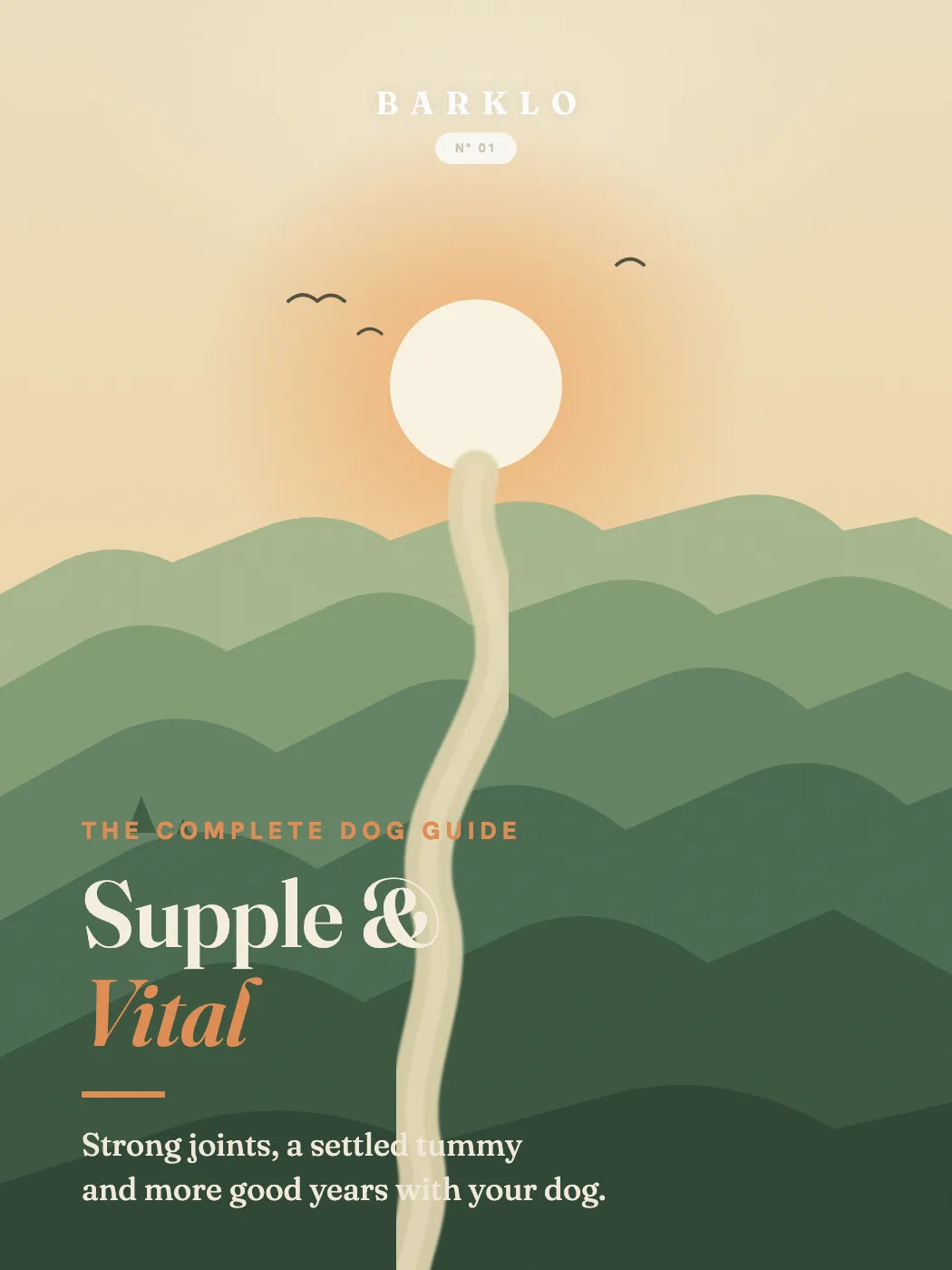Soepel & Vitaal preview 1
