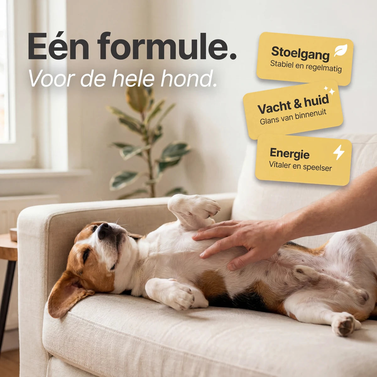 Probiotische Zachte Kauwtabletten