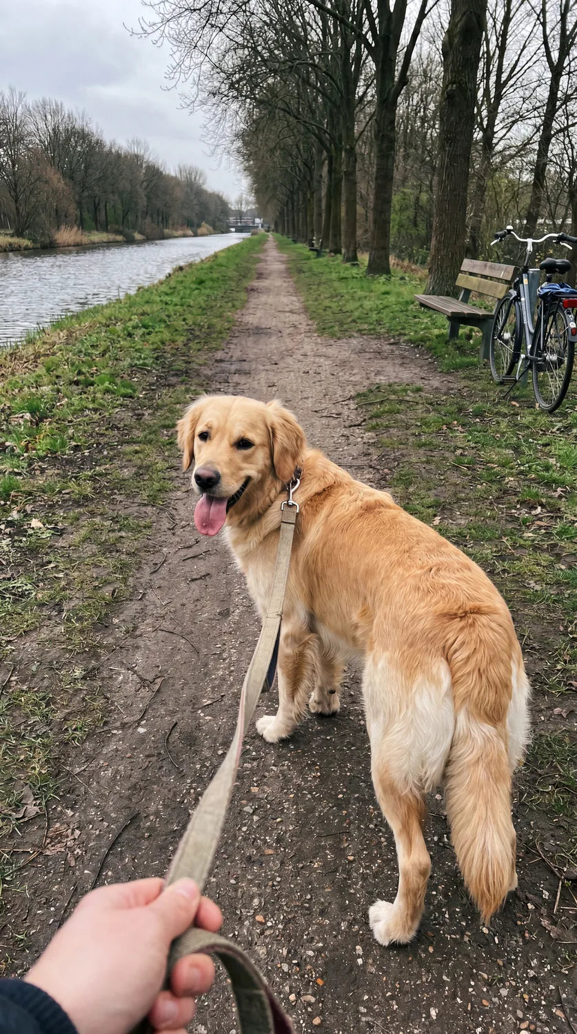An owner and dog from the BARKLO family