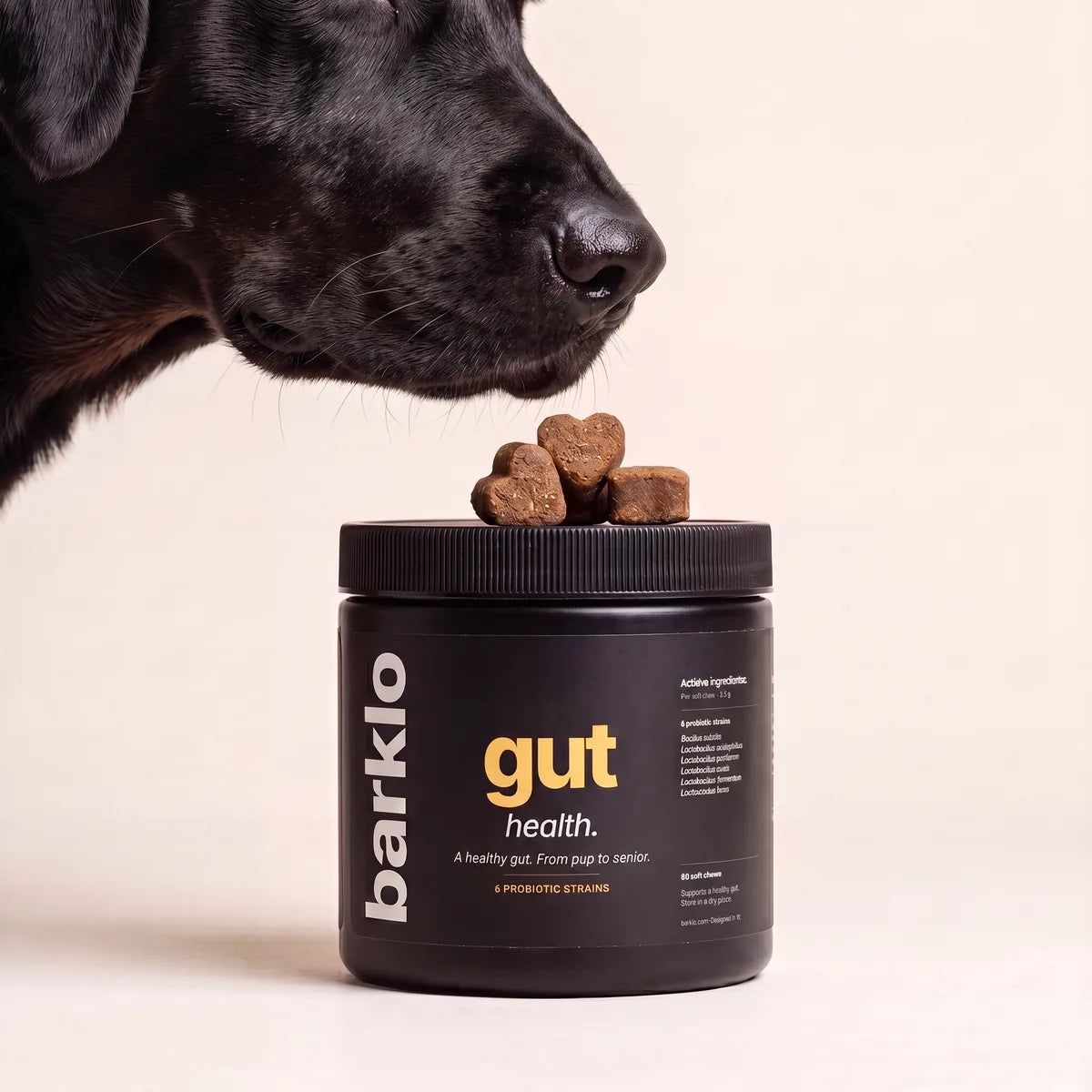 Gut Care 1