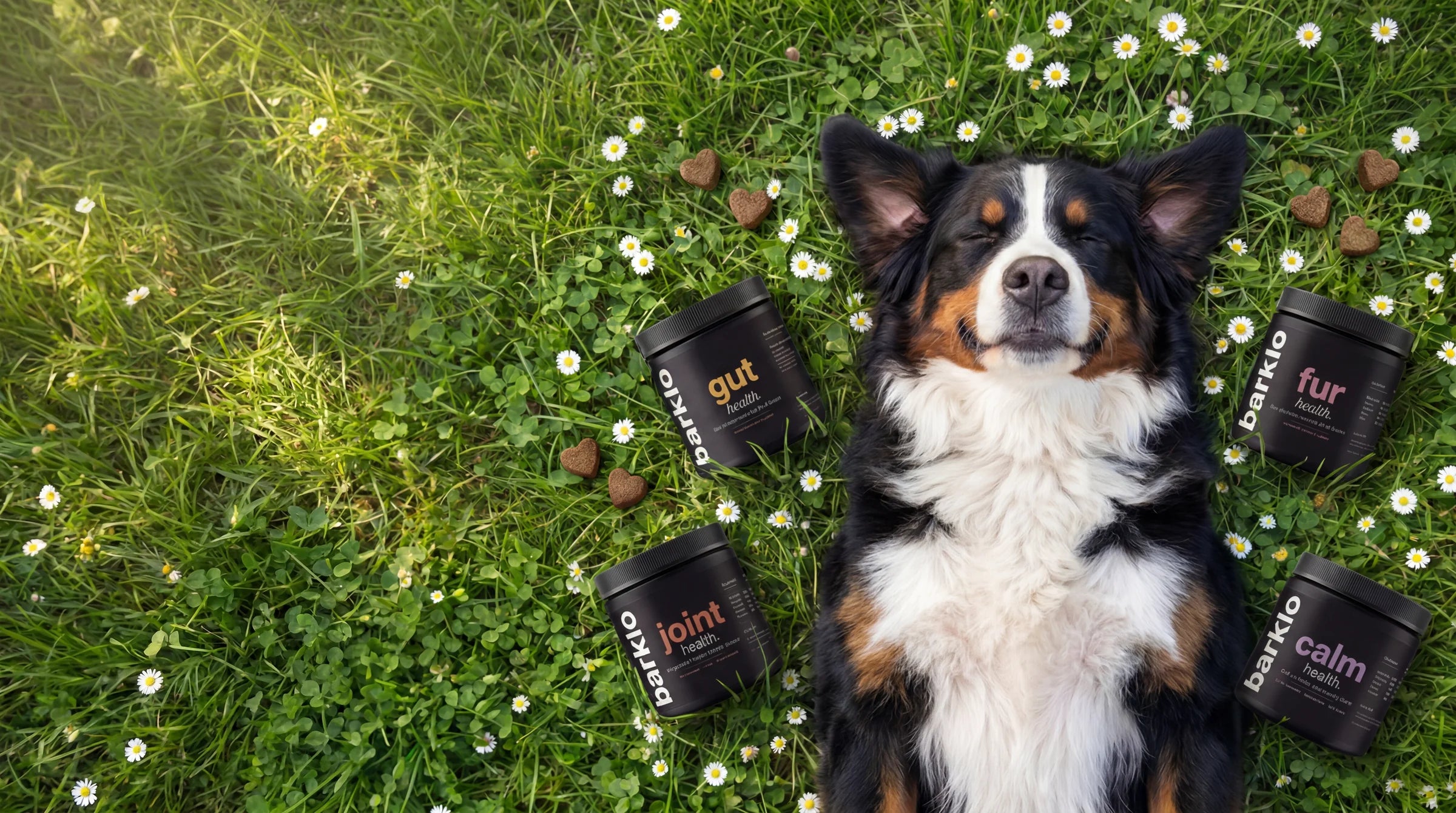 Daily routines, thoughtfully formulated.